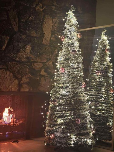 Albero natale piedi con - 6,