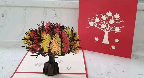 Carta foglia albero autunno - foglia,