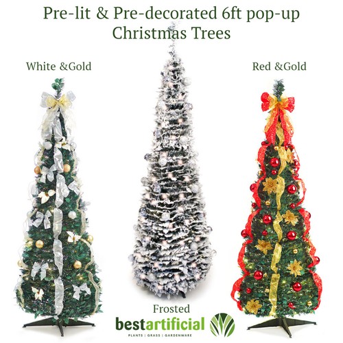 Miglior albero natale - miglior,