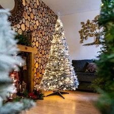 Albero di Natale Pop-Up