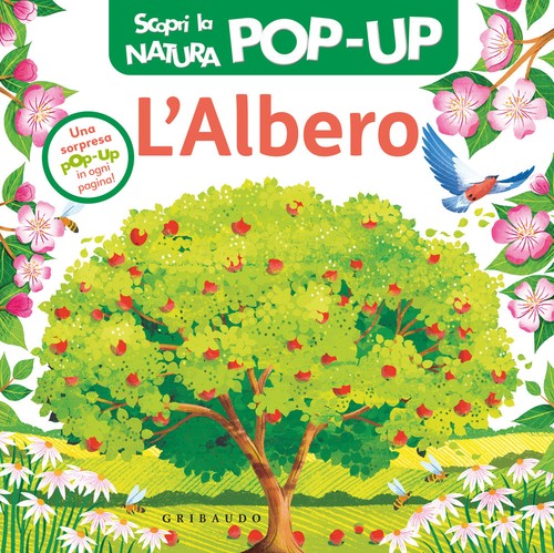Albero scopri la natura - scopri,