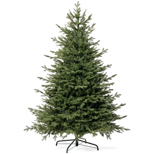 Fairytrees pop albero - pop-up, di